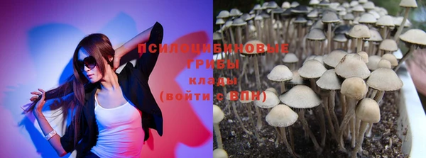 гидропоника Бугульма