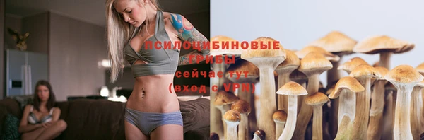 гидропоника Бугульма