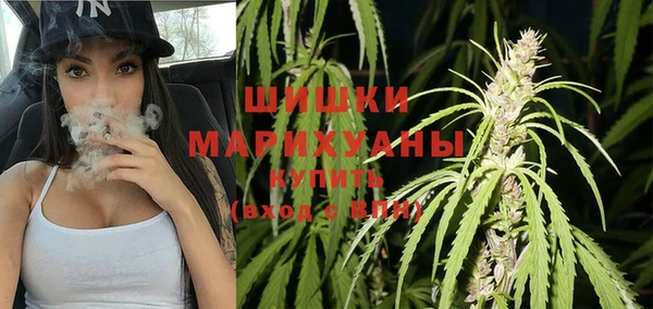 гидропоника Бугульма