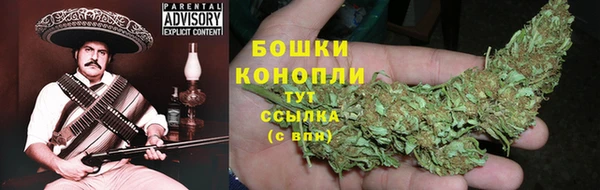 гидропоника Бугульма