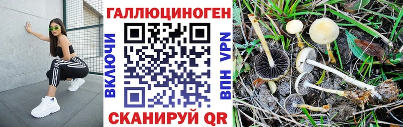 Галлюциногенные грибы ЛСД  ОМГ ОМГ ONION  Петрозаводск  как найти наркотики 