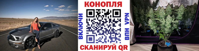 Марихуана сатива  shop как зайти  Петрозаводск  где купить наркоту 